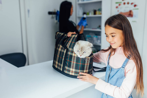 Kleine meisje huisdier eigenaar draagt haar kat in een speciale kooi drager voor een wandeling of in een veterinaire kliniek. - Foto, afbeelding