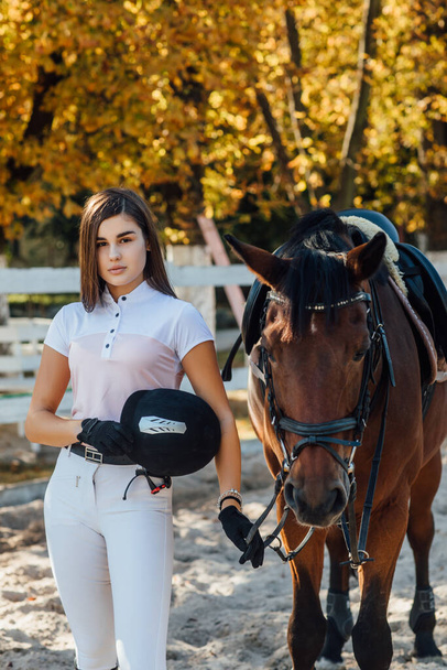 Equestrian sport concept, female jockey and horse in autumn forest, ready for a competition. - Photo, Image