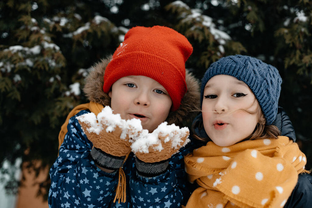 Boy and girl in the winter. Children and snowy weather. Winter fairy tale. Winter concept. - Zdjęcie, obraz