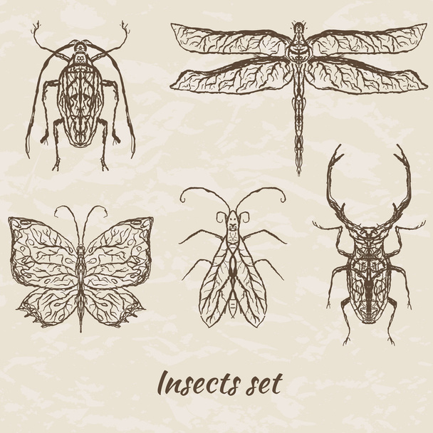 抽象的な昆虫のベクトルを設定 - ベクター画像