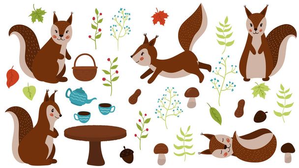 Ένα σετ σκίουρων ζωγραφισμένων στο χέρι. Φύλλα καρτούν σφενδάμου, τσαγιέρα, φλιτζάνια, φυτά, μανιτάρια, ξηρούς καρπούς και βελανίδια. Ζώα του δάσους. Για το φυτώριο. - Διάνυσμα, εικόνα