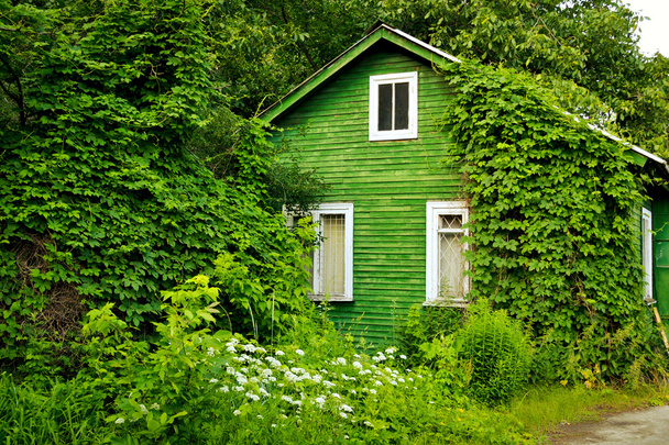 grüne Hütte - Foto, Bild