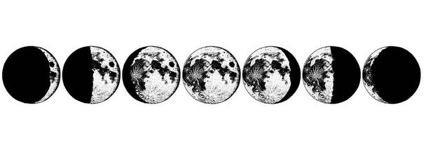 Lua fases planetas no sistema solar. astrologia ou espaço astronômico galáxia. órbita ou círculo. mão gravada desenhada em esboço antigo, estilo vintage para etiqueta
. - Vetor, Imagem