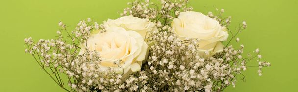 vrchní pohled na čerstvé kytice květin izolovaných na zelené, panoramatický záběr - Fotografie, Obrázek