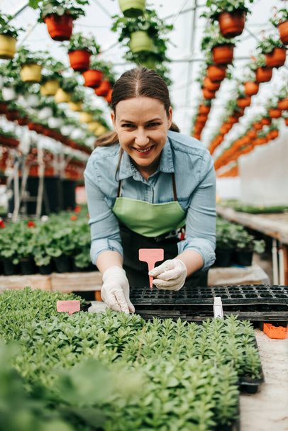 Happy and positive young adult woman working in greenhouse and enjoying in beautiful flowers. - Fotó, kép