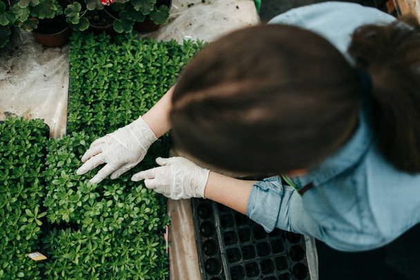 Happy and positive young adult woman working in greenhouse and enjoying in beautiful flowers. - Photo, Image