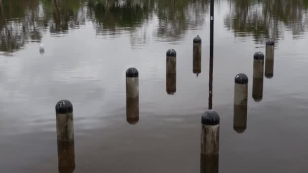 πλημμύρες σε σμαραγδένιες λίμνες, νερά πλημμυρών στη Χρυσή Ακτή, Queensland, Αυστραλία - Πλάνα, βίντεο