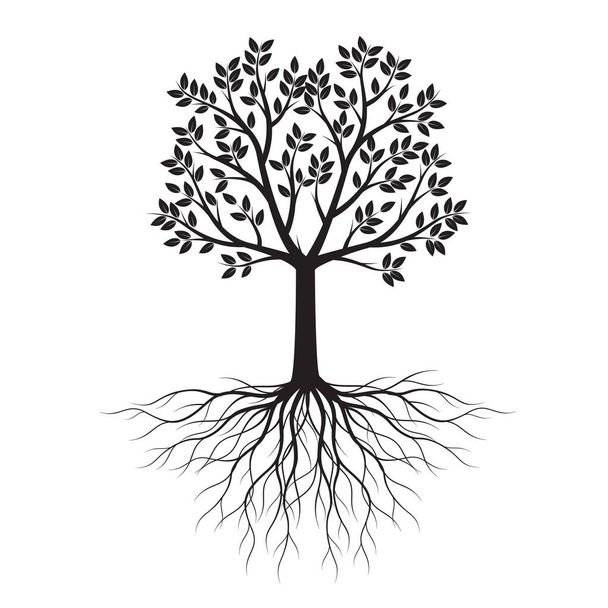Черная форма дерева с листьями и корнями. Векторный контур иллюстрации. Посадить в саду
. - Вектор,изображение