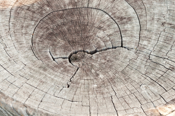 Parede de madeira fundo ou textura - Foto, Imagem