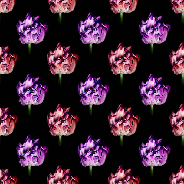 Beautiful seamless pattern. Seamless floral background of dried tulips. Dry tulips like symbol of fade time - Foto, Imagen