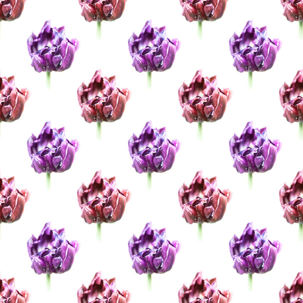 Beautiful seamless pattern. Seamless floral background of dried tulips. Dry tulips like symbol of fade time - Foto, afbeelding