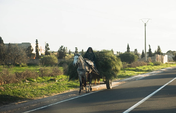 Chefchaouen, Marokko - 16 januari 2020: Man rijden in een rijtuig, getrokken door uur, lokale straten en armoede - Foto, afbeelding