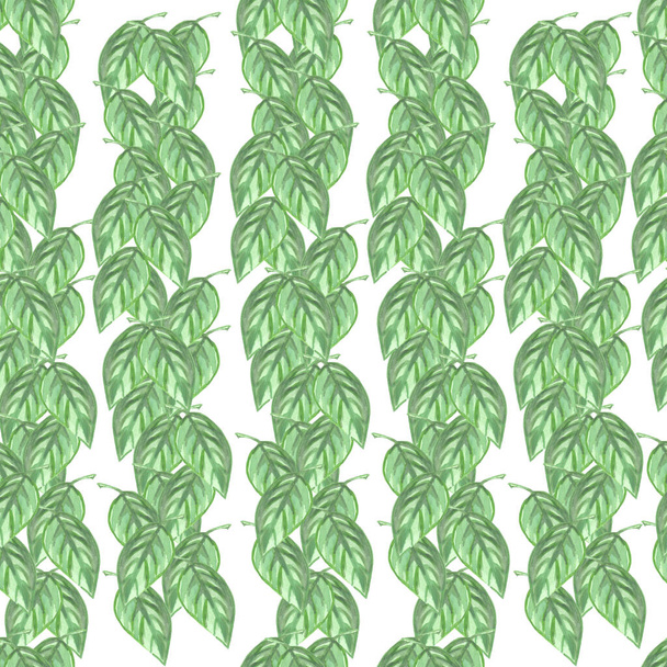 seamless watercolor pattern with green leaves on a white background - Foto, Imagen