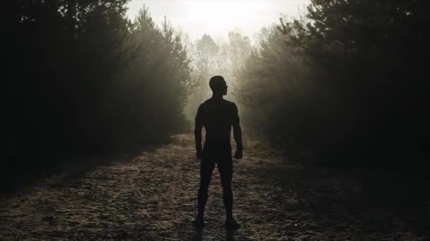 森の中に立ち深呼吸する裸のトルソを持つ筋肉ハンサムな男の背面図。夜明け、日没、日の出。素晴らしい風景 - 映像、動画