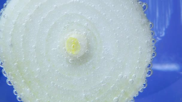 legumes de cebola close-up macro textura fundo. maduro e suculento na água
 - Filmagem, Vídeo