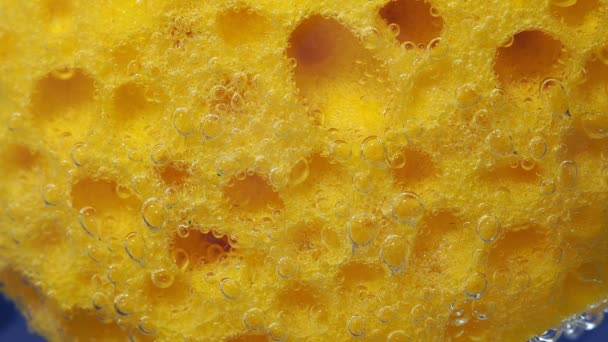 surface of a foam sponge for washing dishes. Porous structure. Cleaning and hygiene. To close. Macro. close-up underwater - Footage, Video