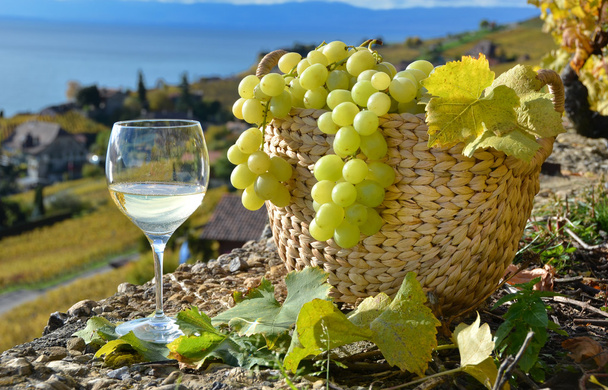 wijnglas en mand van druiven. Lavaux-gebied, Zwitserland - Foto, afbeelding