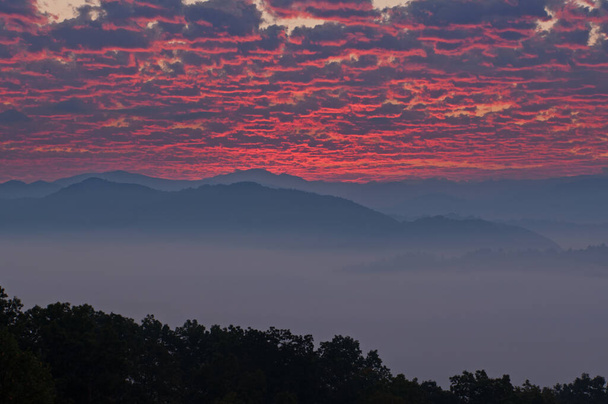 Landscape at sunrise from the West Foothills Parkway, Great Smoky Mountains National Park, Tennessee, USA - Photo, Image