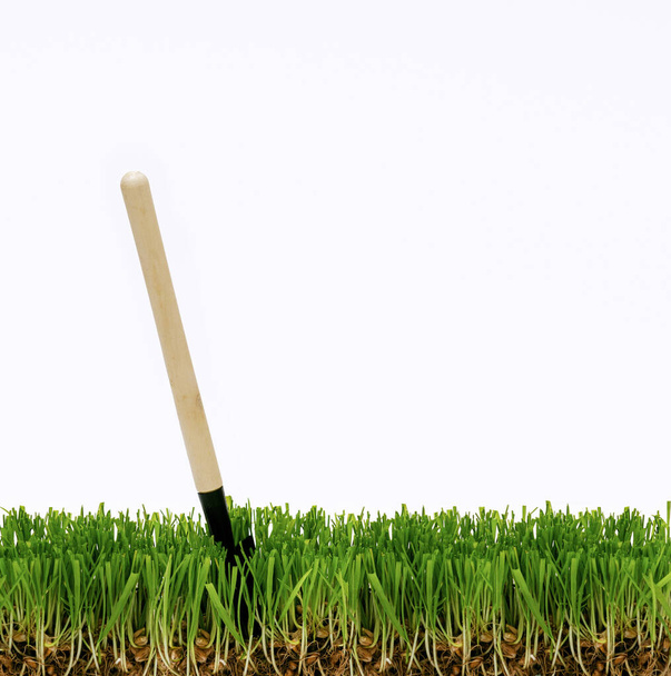 shovel in the grass, dig a garden, a small shovel stuck in the lawn, care for garden plants, farmer sowed wheat - Foto, Imagem