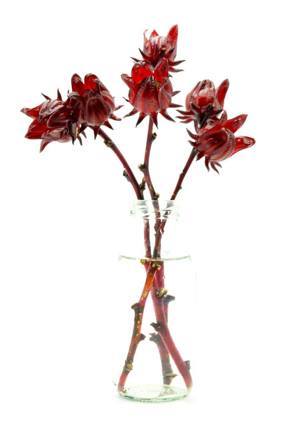 Hibiscus sabdariffa vagy roselle gyümölcsök - Fotó, kép