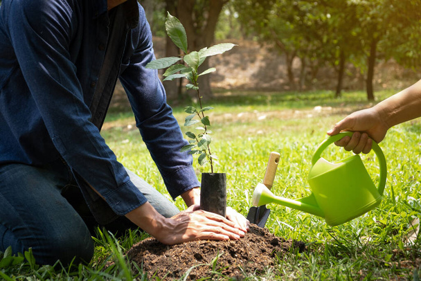 Kaksi nuorta miestä istuttamassa puita puutarhaan säilyttääkseen ympäristön käsitteen, luonnon, maailman, ekologian ja vähentääkseen ilman saastumista
. - Valokuva, kuva