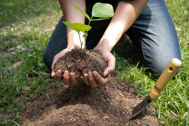 De jongeman die de zaaiboom vasthoudt om in de tuin te planten om het milieuconcept, de natuur, de wereld, de ecologie en de luchtverontreiniging te behouden. - Foto, afbeelding