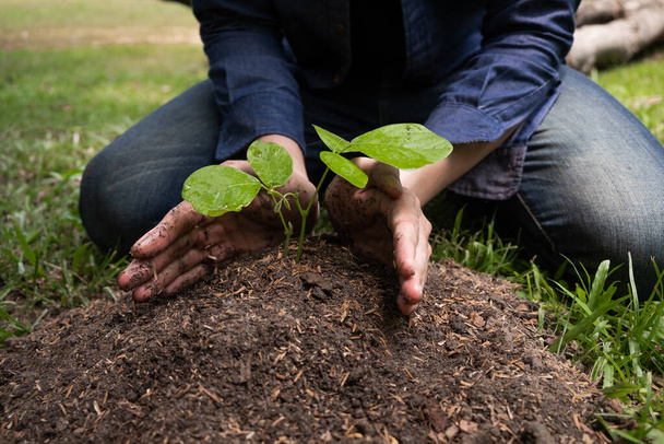 Молодий чоловік садить дерево в саду, щоб зберегти концепцію навколишнього середовища, природу, світ, екологію та зменшити забруднення повітря
. - Фото, зображення