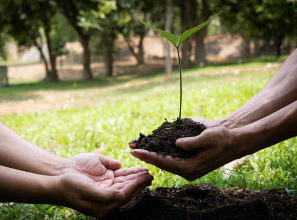 Dos jóvenes plantando árboles en el jardín para preservar el concepto de medio ambiente, la naturaleza, el mundo, la ecología y reducir la contaminación del aire
. - Foto, Imagen