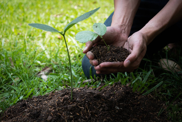Молодой человек сажает дерево в саду, чтобы сохранить экологическую концепцию, природу, мир, экологию и уменьшить загрязнение воздуха
. - Фото, изображение