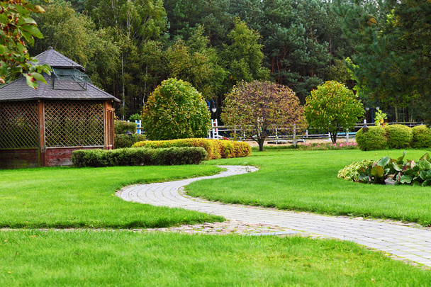 Jardín verde
 - Foto, Imagen