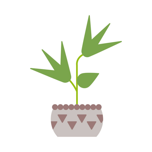 houseplant with potted on white background - Vector, Image