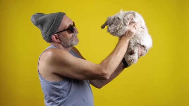 Hipster anziano barbuto uomo in occhiali da sole parlando con un coniglietto animale domestico
. - Filmati, video