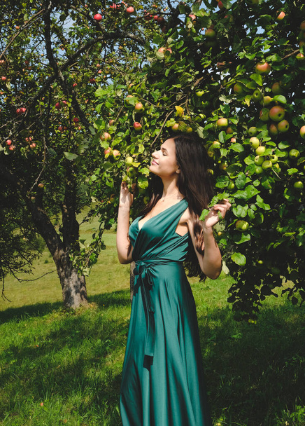Pretty brunette girl standing near apple tree. In the garden of the fruit trees. Lovely elegant girl in a silk dress. Style of the goddess. - Фото, зображення