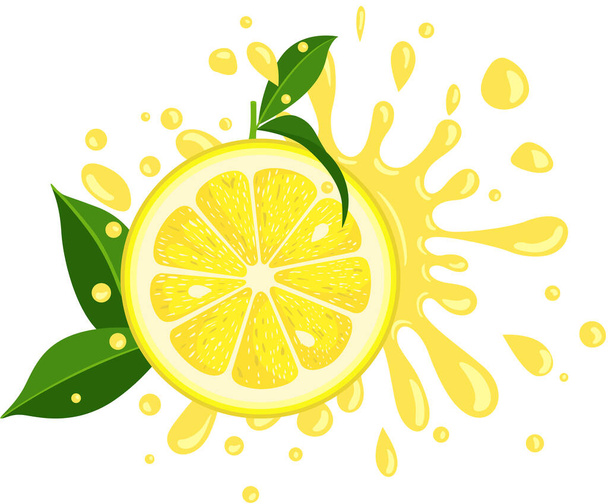 緑の葉でレモンのスプラッシュジューシーなスライス - ベクター画像