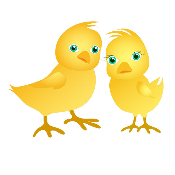 Ein Paar süße Hühner. Hühnerjunge und Hühnermädchen im Cartoon-Stil. Gelbe Vögel auf weißem Hintergrund. Für Osterkarten, Kinderbücher, Kinderkleidung. Isolierte Darstellung des Aktienvektors. - Vektor, Bild