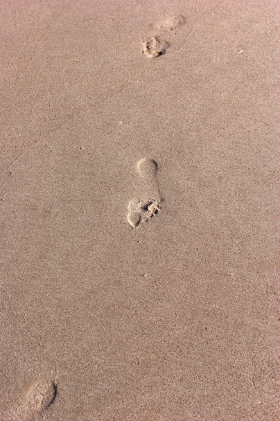 Footprints on the beach - Photo, Image