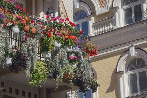 Bloemen op het balkon van een luxe huis in een klassieke stijl. Het platform - Foto, afbeelding
