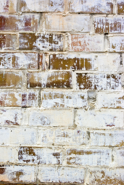 White brick wall - Фото, зображення
