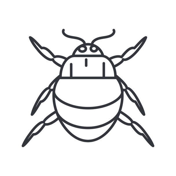 chafer insect icon, line detail style - Vector, Image