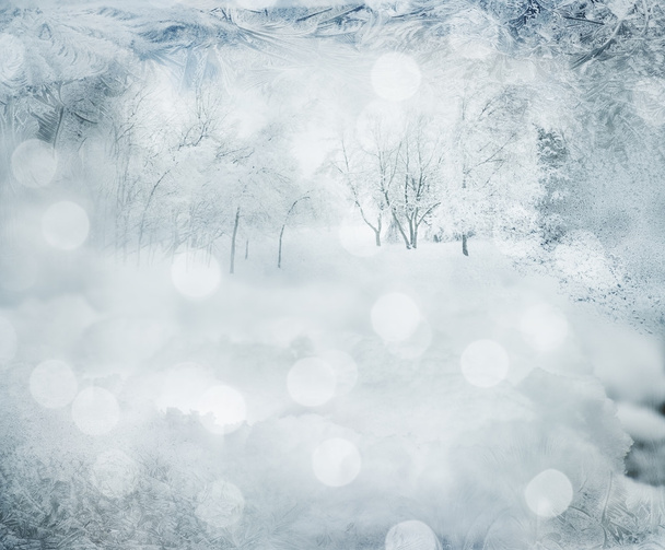 Kış arkaplanı - Fotoğraf, Görsel