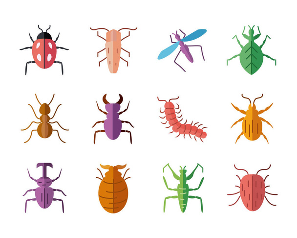 icon set of insects concept, flat style - Вектор,изображение