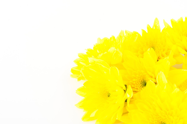 Yellow flower - Foto, imagen