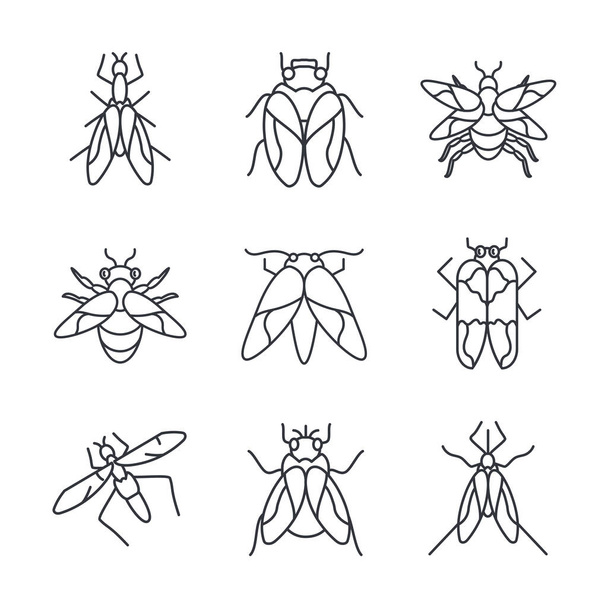 мухи насекомых набор значков, стиль детализации линии
 - Вектор,изображение