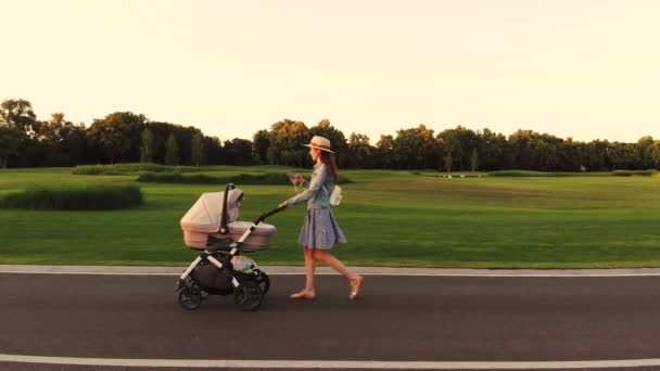 Ευτυχισμένη γυναίκα που περπατάει με ένα καροτσάκι στο πάρκο. - Πλάνα, βίντεο