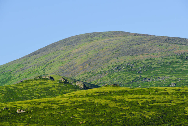 Kibar tepeler, gökyüzünün altındaki yeşil çayırlar. Sığırlar için tarım otlağı - Fotoğraf, Görsel
