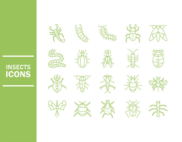 icono de insecto conjunto sobre fondo blanco, estilo de detalle de línea
 - Vector, imagen
