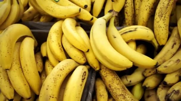 bananas on the counter fresh fruit - Felvétel, videó