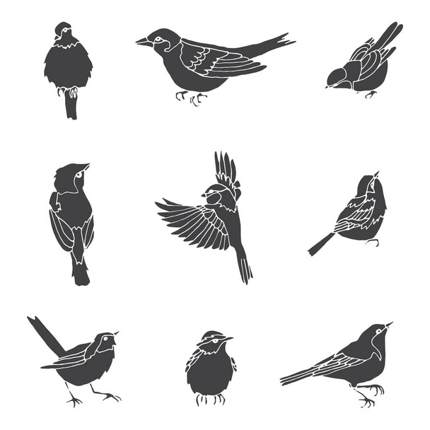 Conjunto vectorial de ave dibujada a mano
 - Vector, imagen