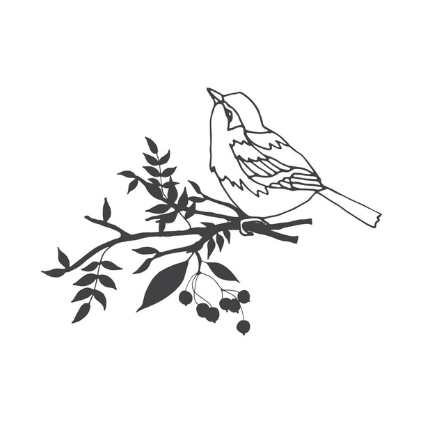 Vector composition of hand drawn bird with leaves and twigs. - Vector, Image