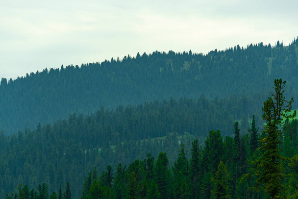 colinas del bosque en el horizonte están cubiertas de neblina, cordillera en la distancia en la niebla, alcanzando la meta distante en camino a pie
 - Foto, Imagen